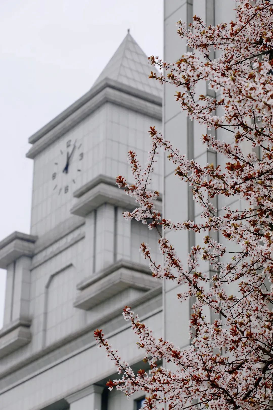 在成都读大学好就业吗,在成都读研究生是什么体验