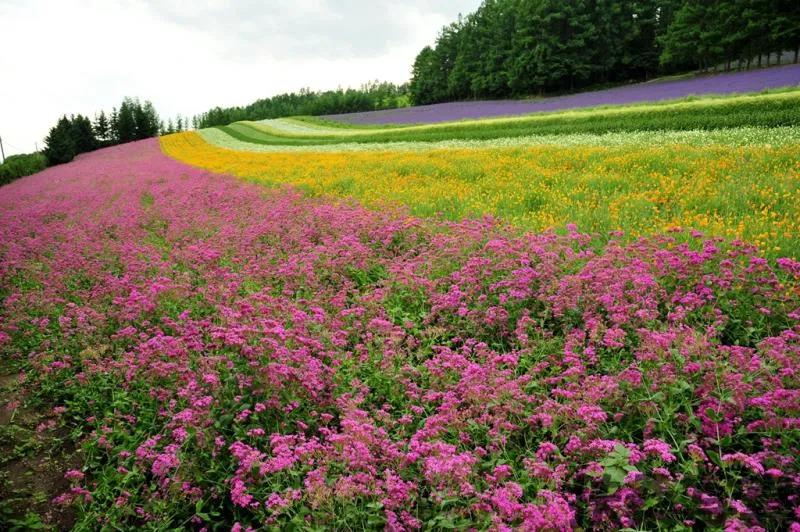 【话说日本景点的“门票价格”】