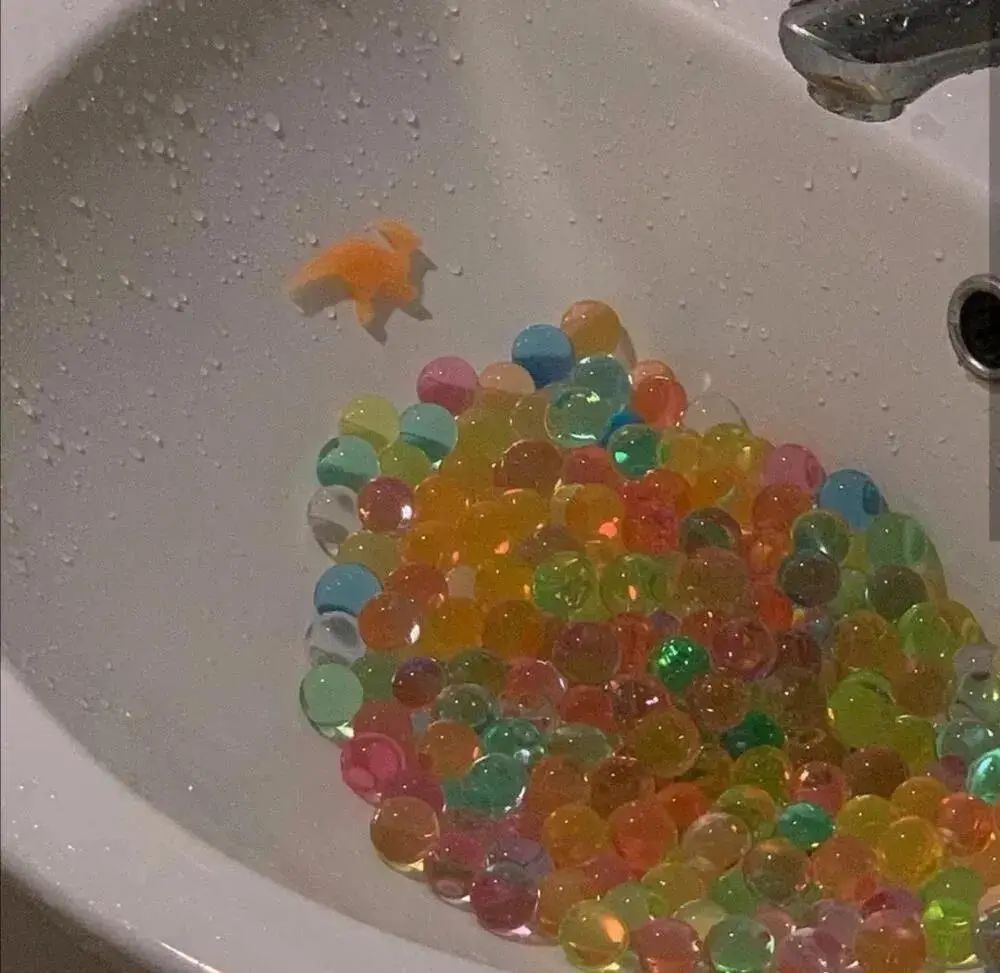 朋友圈背景送给大家,朋友圈背景送你一朵花