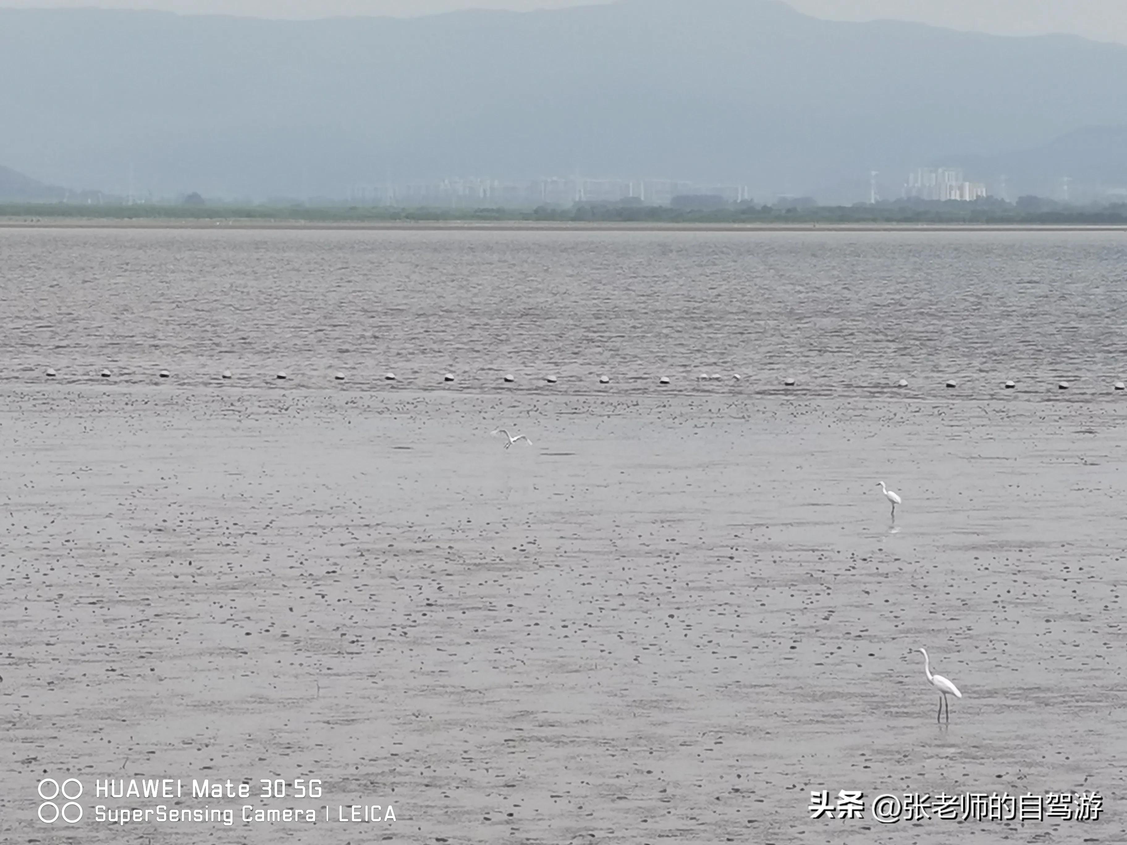 自驾环游中国最佳路线图费用,盐城到海南自驾旅行攻略