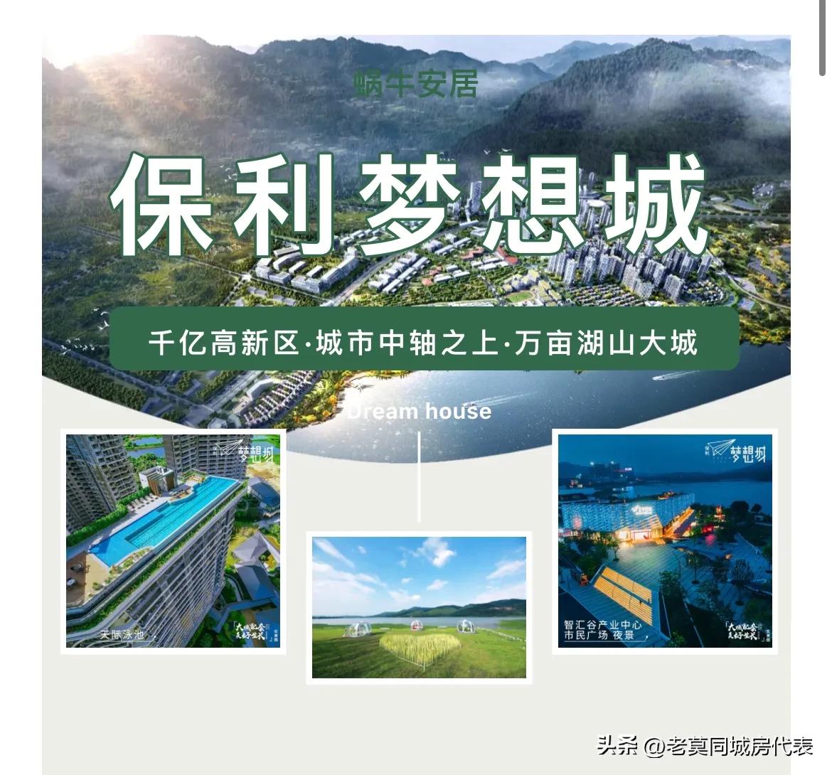 保利房子首付98万,保利资金链问题