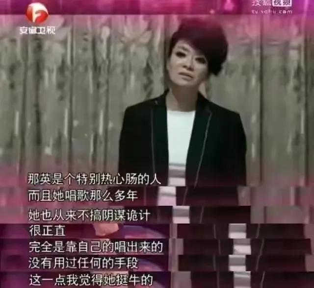 所有人对那英的评价,最近对那英的评价