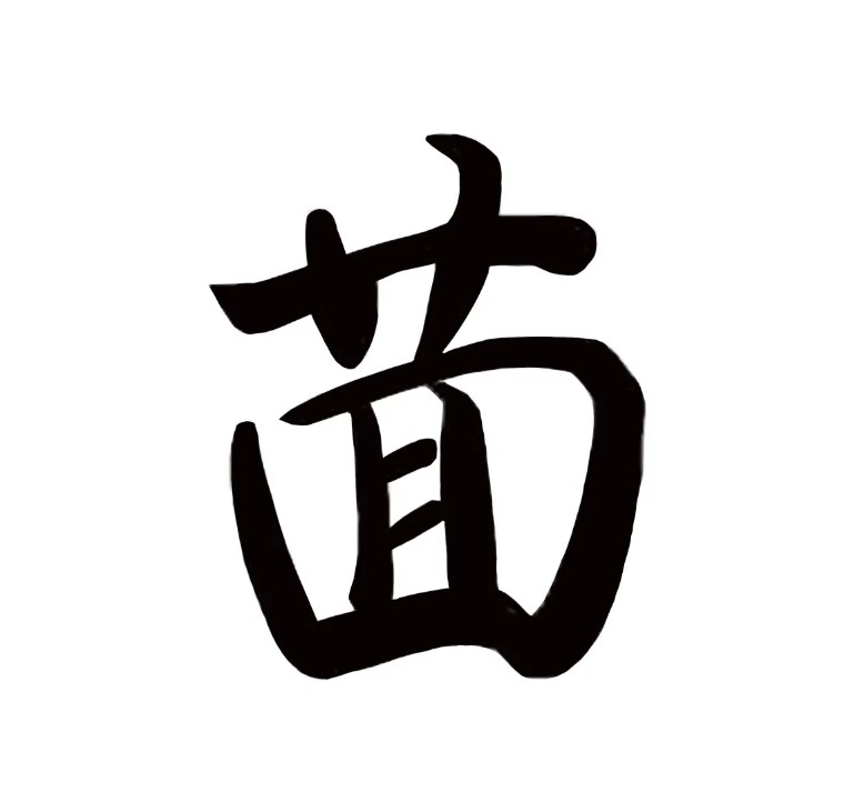 孔乙己茴香豆的茴字四种写法,孔乙己为什么说茴字有四种写法