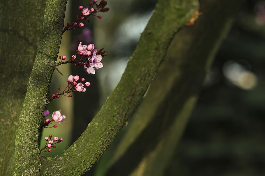 2023年是兔年也是双春年,2023年双春年为什么有些人倒霉