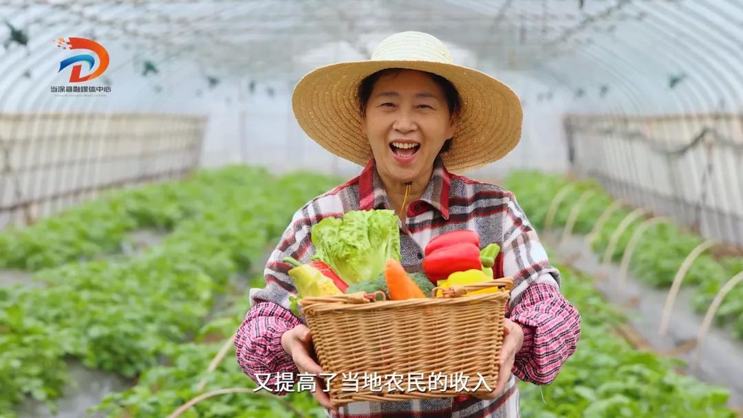 湖北民间家常小菜,黄池小菜加盟店