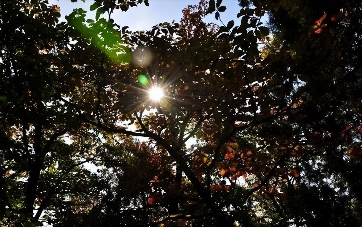 什么是眩光,你知道什么是投影吗