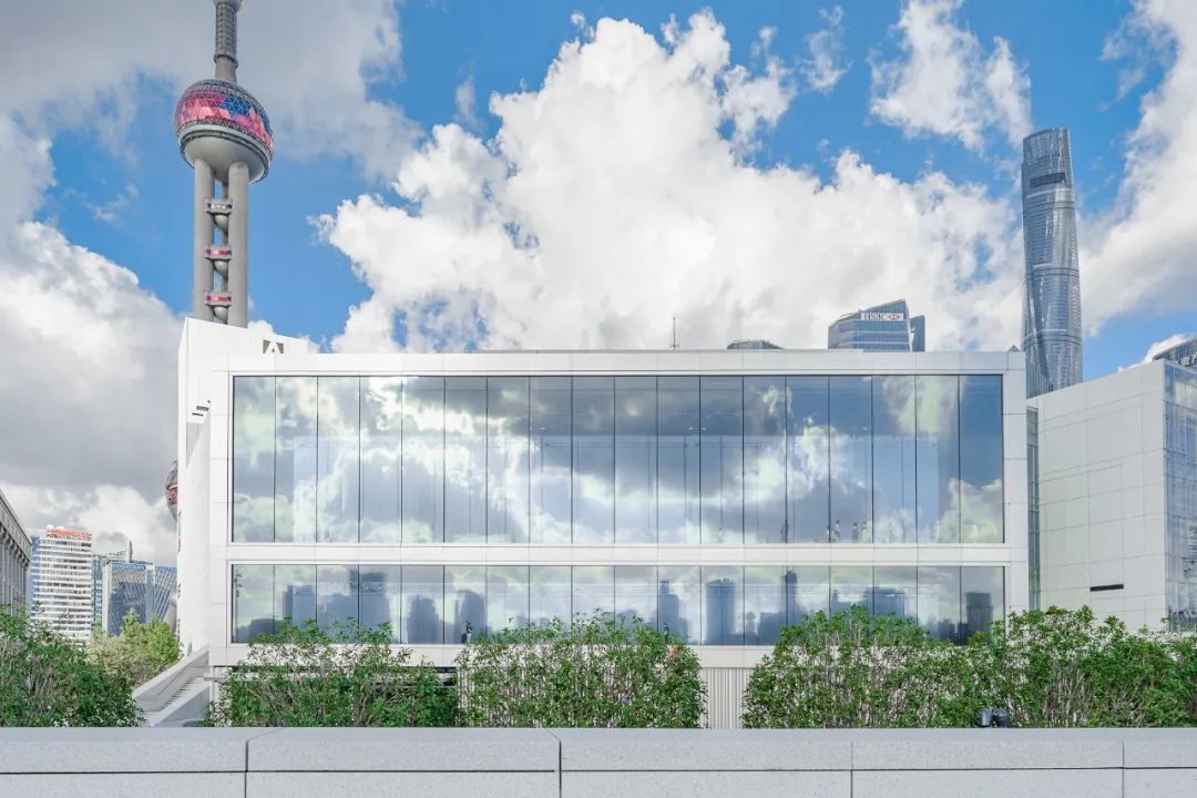 魔都自然博物馆,魔都的博物馆真的很有看头