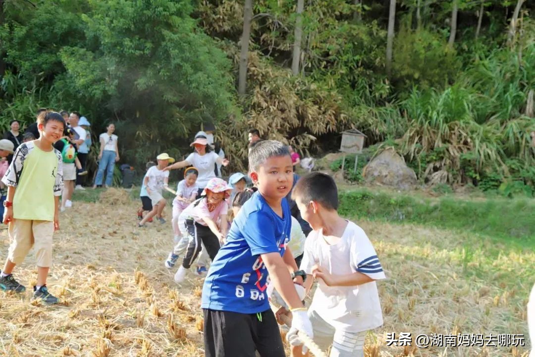 湖南五一宝藏遛娃地推荐,湖南宝藏小众秘境