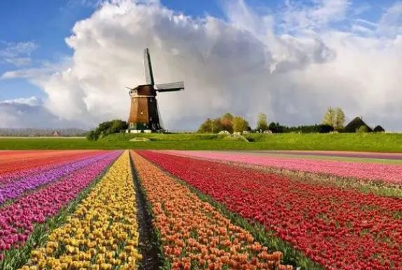 世界杯荷兰无冕之王,世界杯32强巡礼之荷兰队