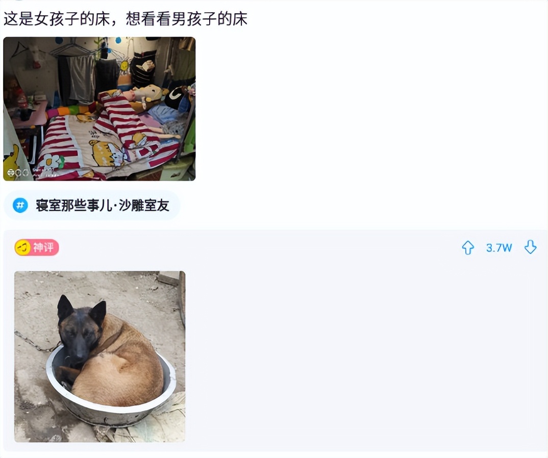 女朋友没文化的神回复,神回复女朋友高情商