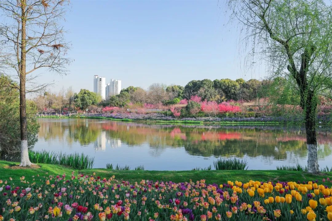 五一的常州,常州的五一