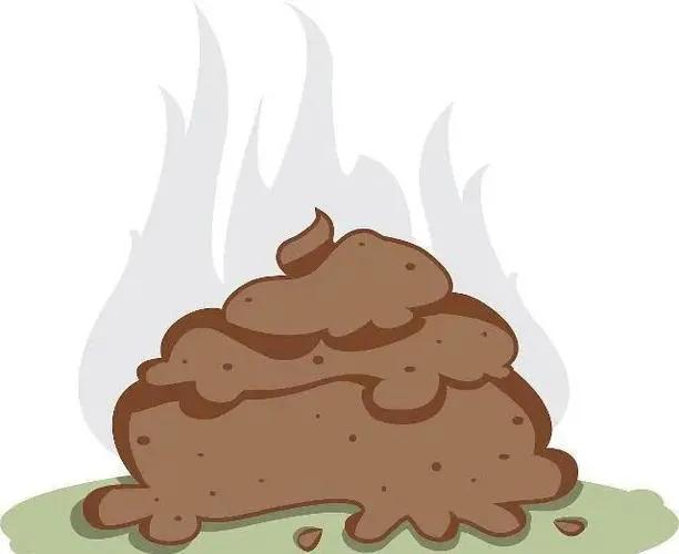 我国拉的大便去哪了？大便中的吲哚浓度越高越臭，或稀释后有香味