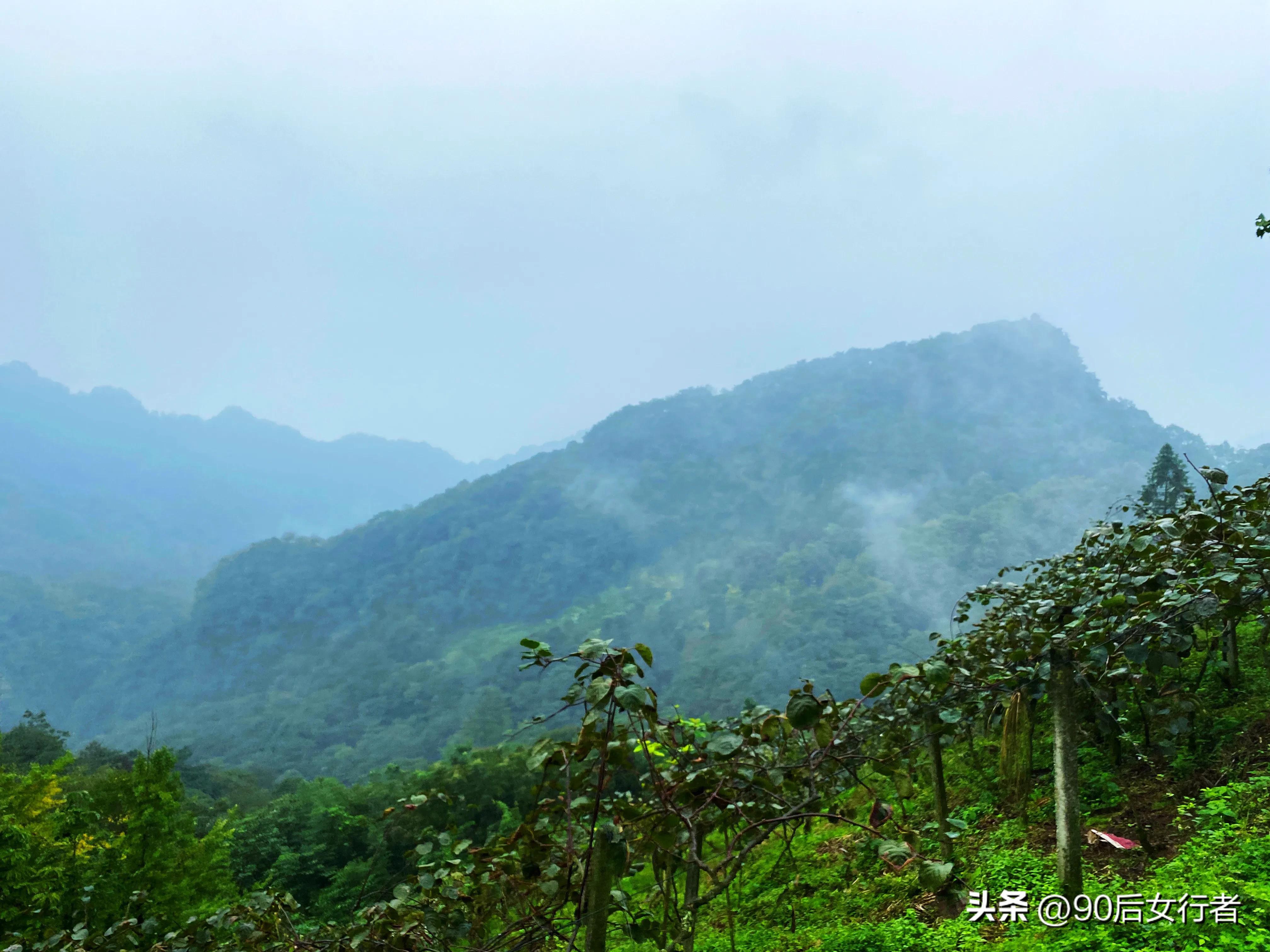 走进山间的小路感受大自然,成都深山老林旅游最好去处