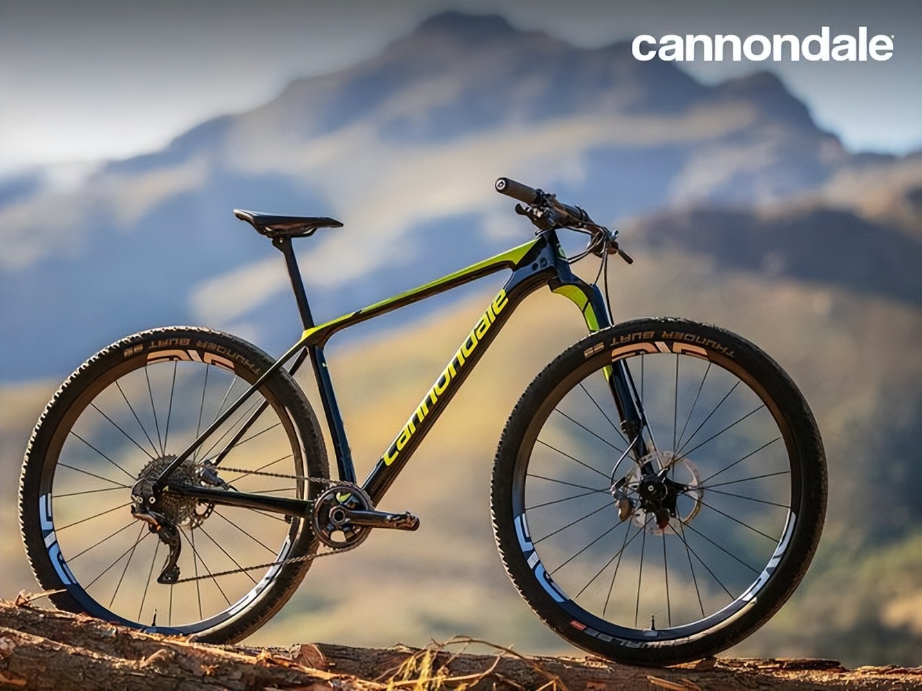 全球十大顶级自行车,中国十大品牌公路自行车排行榜