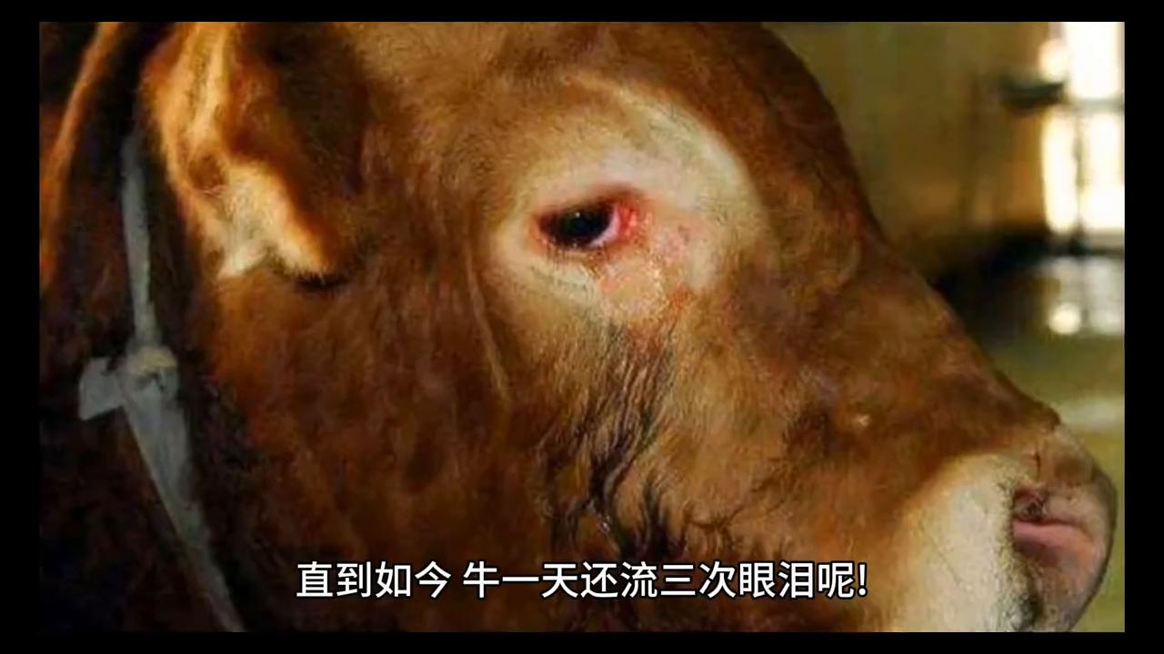 鬼谷子16大经典之术,鬼谷子的七条潜规则