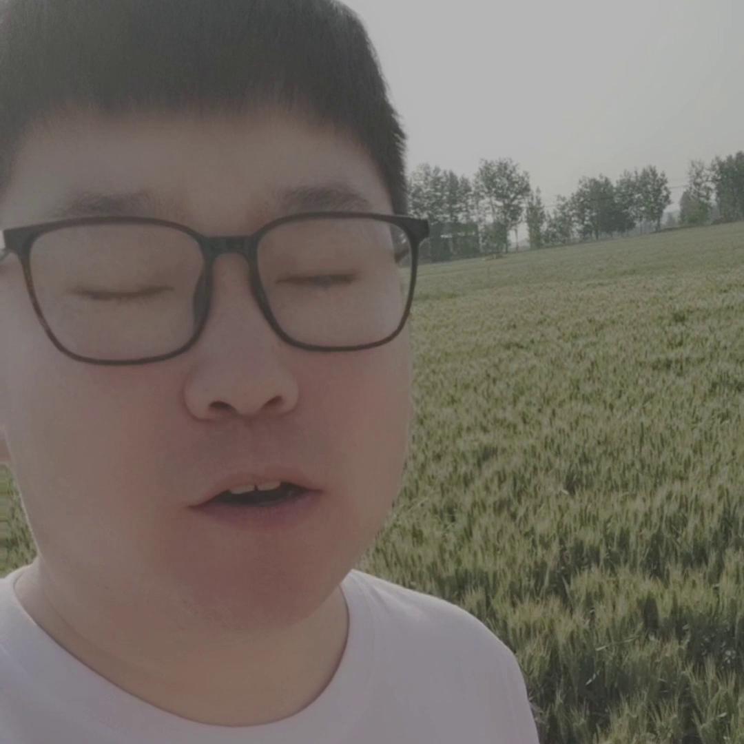 100元左右的玉米能买什么,100元的玉米肥