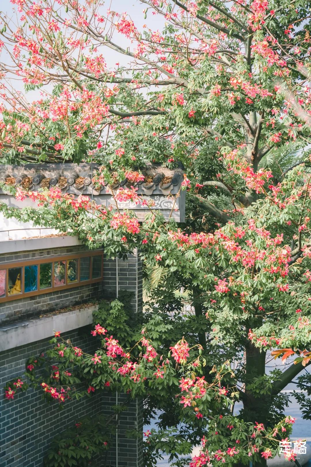 深圳海边书吧,深圳海边图书馆怎么样