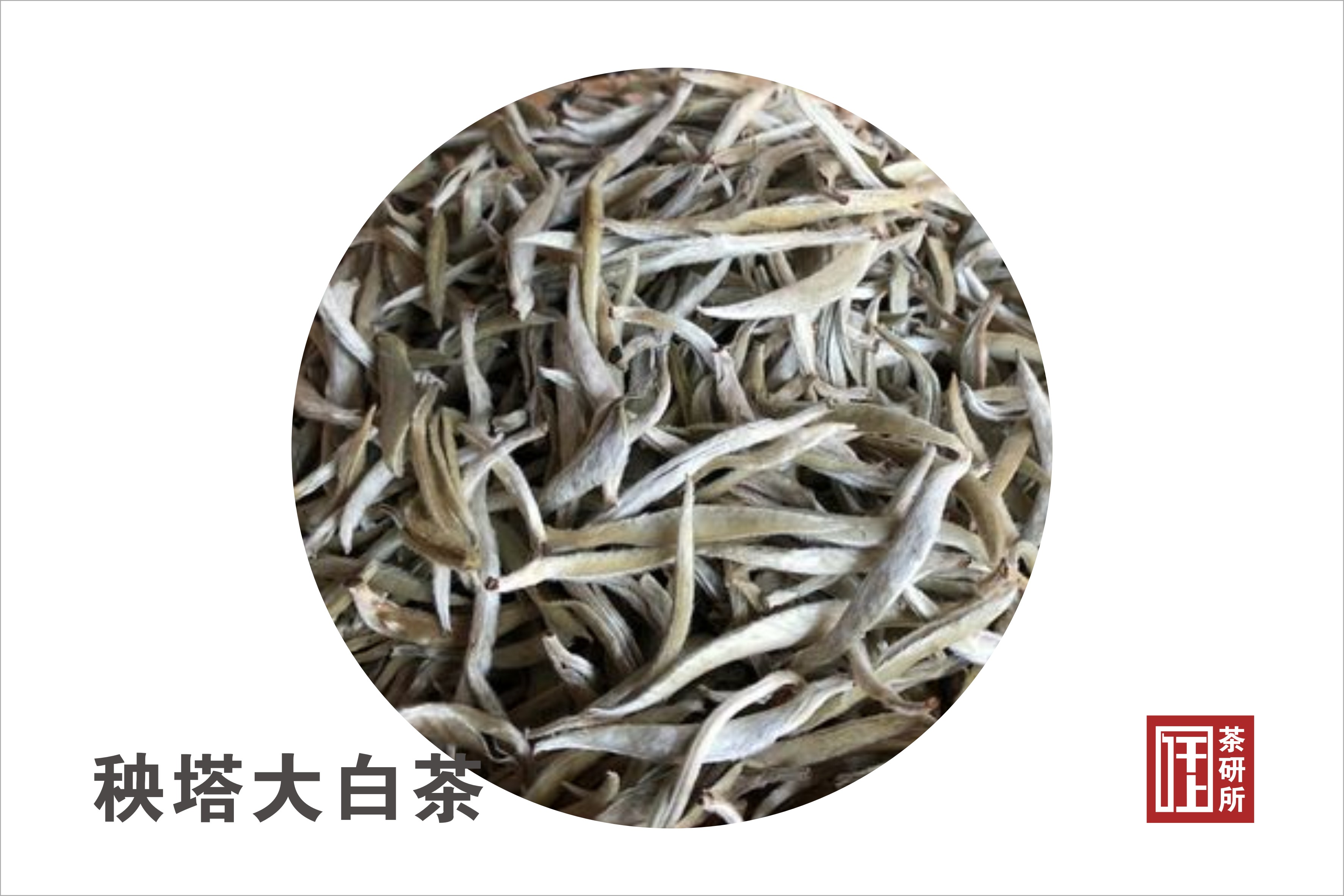 云南十大名茶产品,云南十大名茶及价格