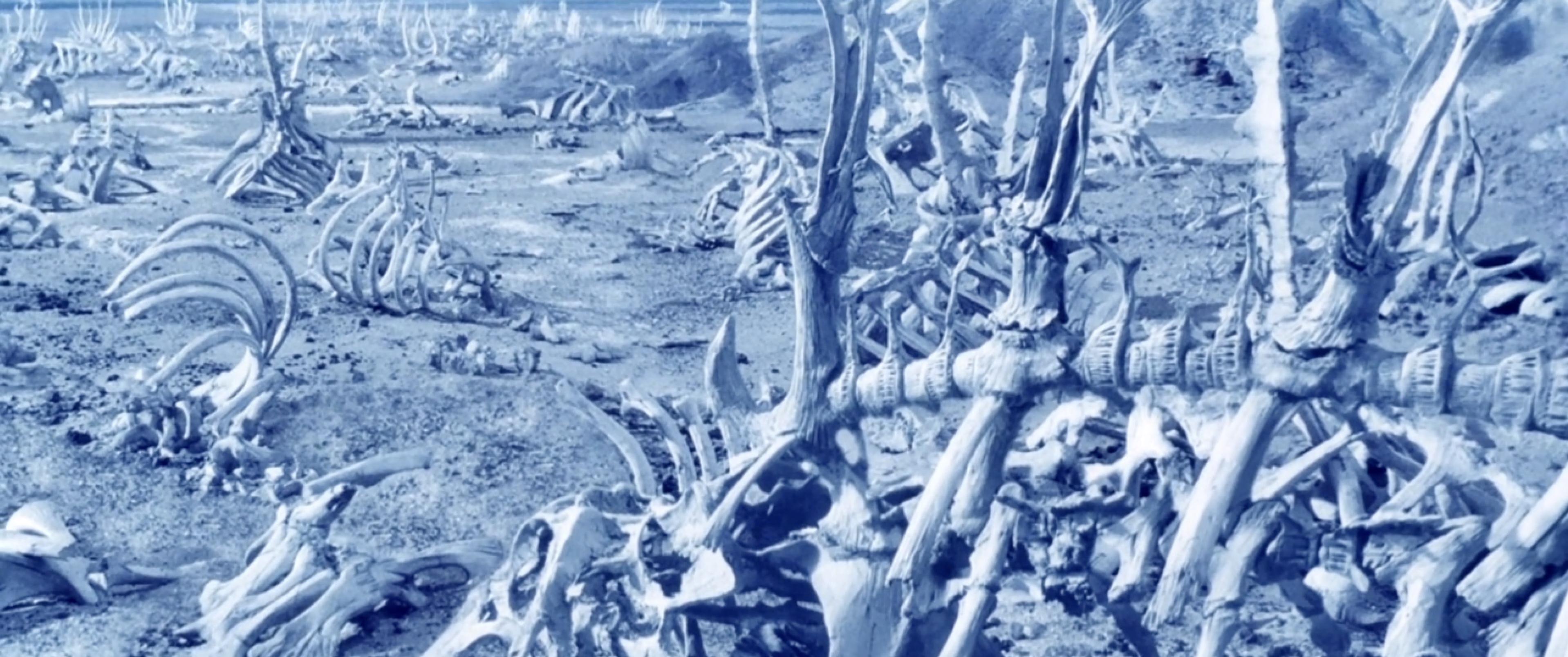 外星人怪兽介绍,传奇怪兽宇宙怪兽介绍