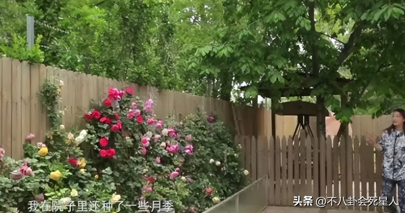 80后港台大龄未婚女明星,来内地养老的七位港星