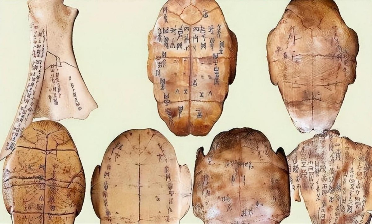 他用甲骨文写了一篇文章,他用甲骨文写作文惊艳了全国