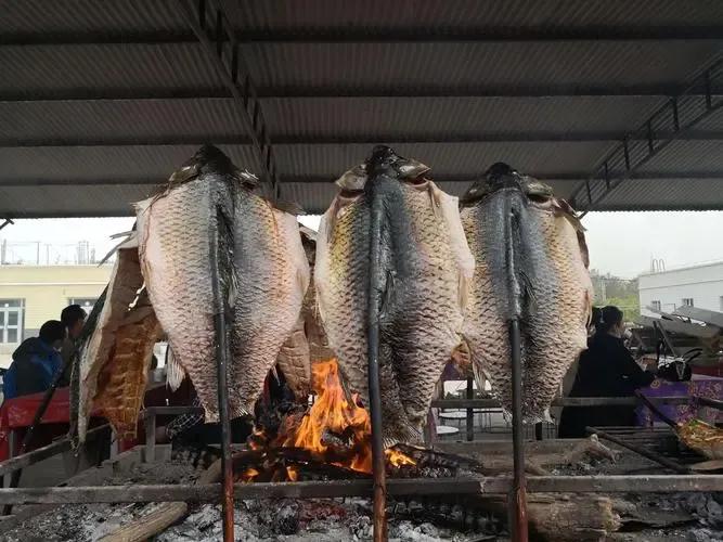 本应该在别人家当“网红”的鱼，现在却为我家乡带来百亿年产值