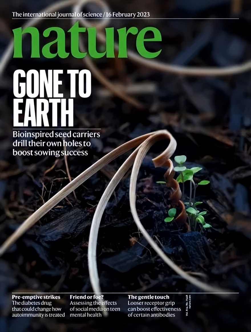 《自然》（20230216）一周论文导读