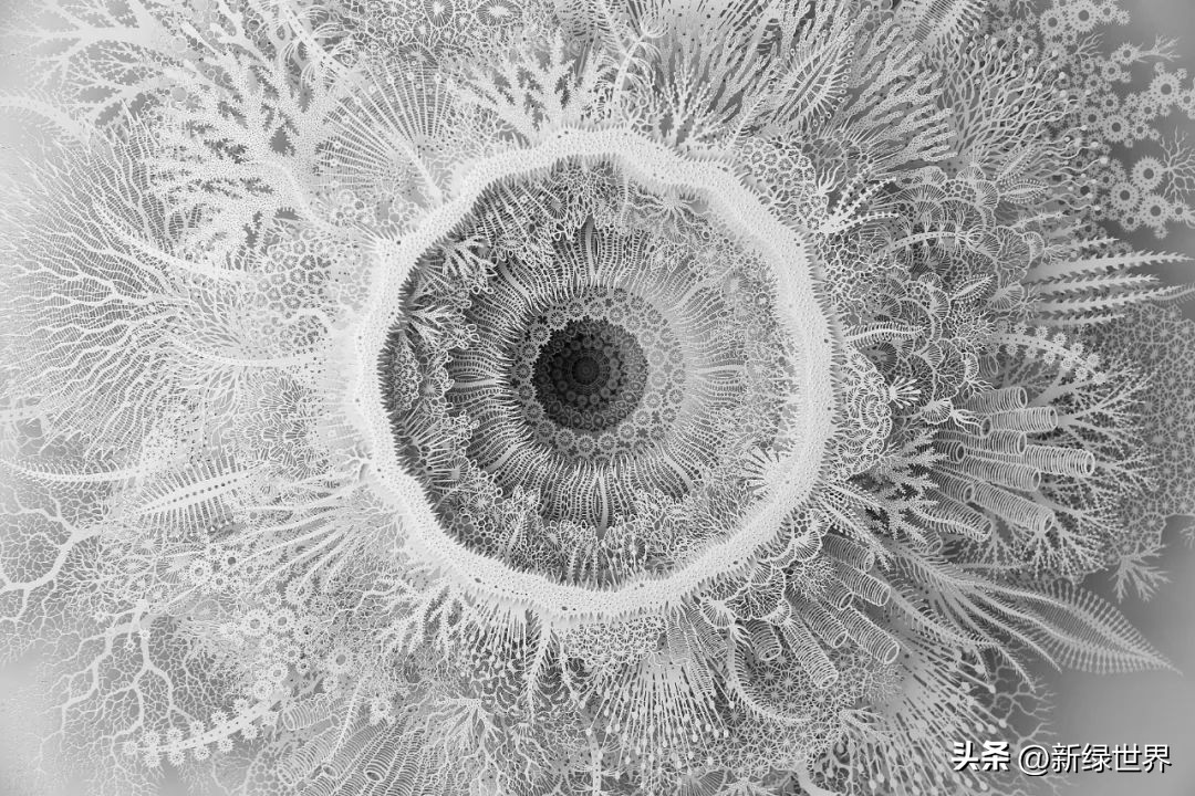 一组纸艺作品,令人惊艳的纸艺作品