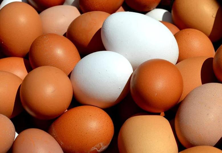 鸽子蛋鹌鹑蛋鸡蛋鸭蛋哪个营养高,鸡蛋鸭蛋鹅蛋鹌鹑蛋营养成分表
