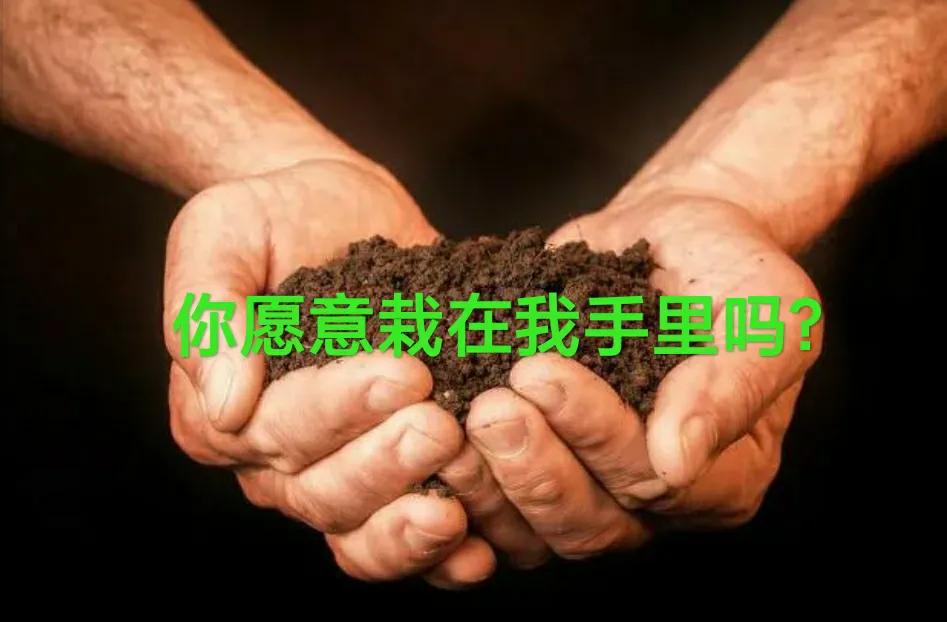 盘点情人节直男送的奇葩翻车礼物,十大直男送的奇葩礼物