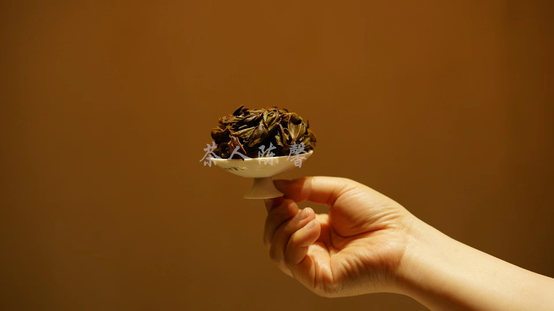 不同紫砂壶泡不同的茶,不同的茶的功效及泡的时间