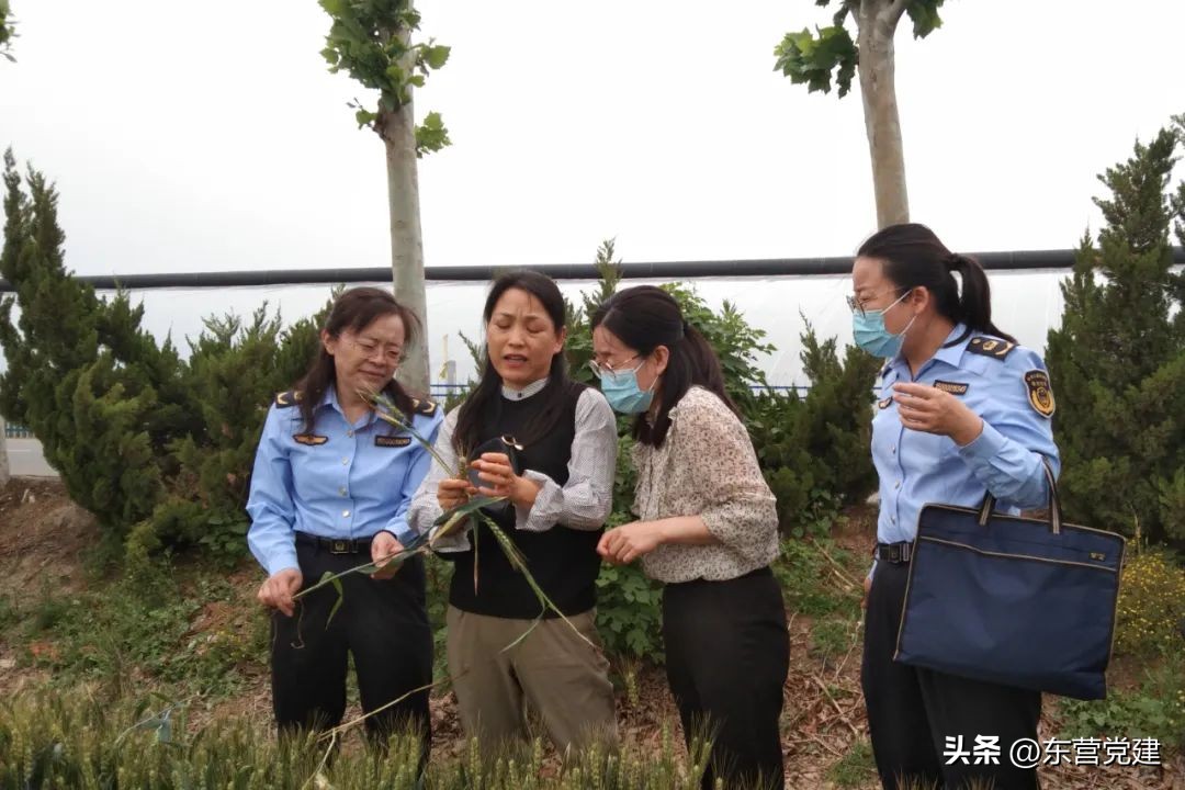 【下基层提作风办实事】深入贯彻落实全市“万名干部下基层”活动推进会议精神（二）