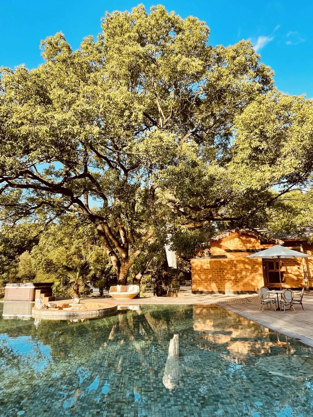 神仙眷侣辞掉高薪工作，爆改废弃山谷，悬崖高空造无边恒温泡池