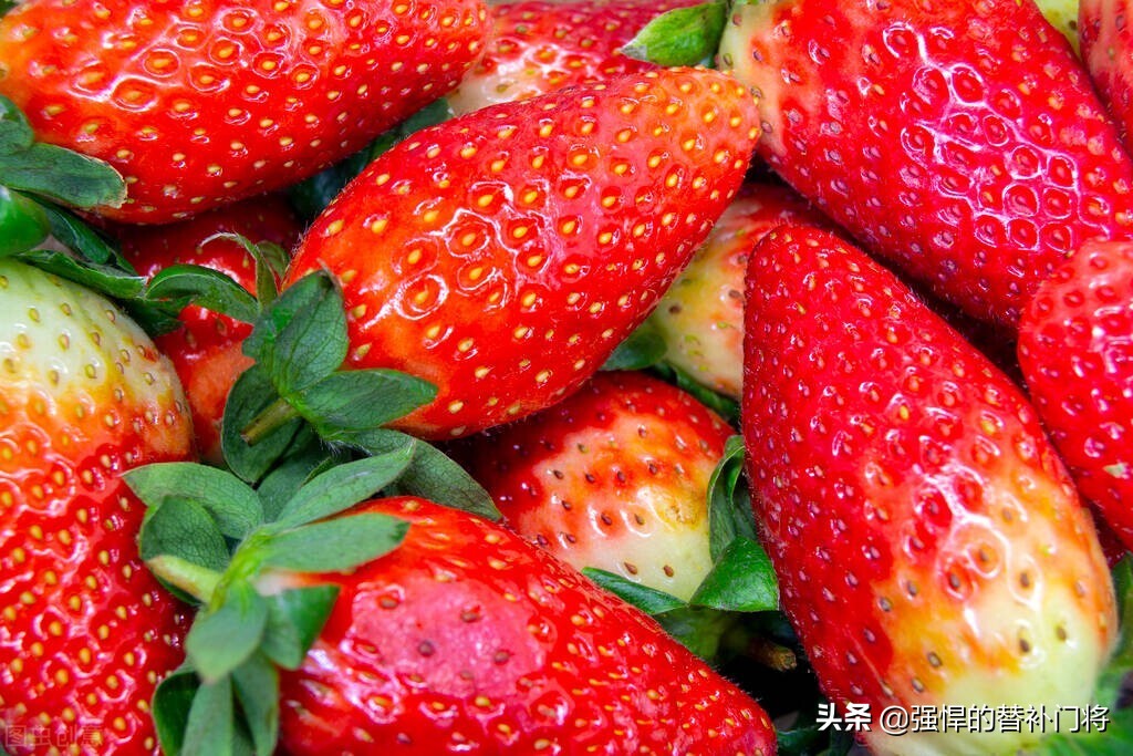 我们平常吃的草莓是什么部位,我们平常吃的草莓是花托还是果实
