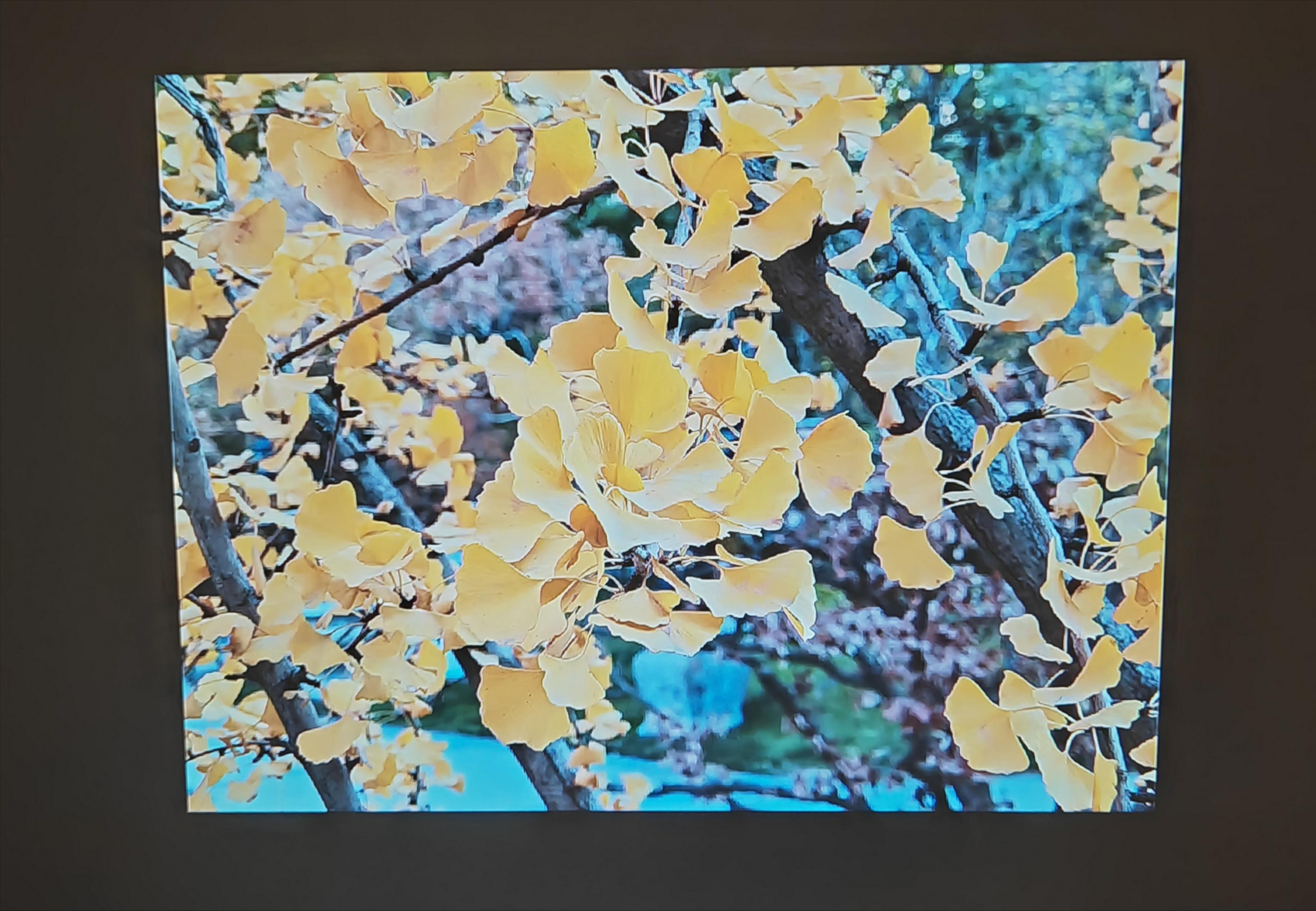 联想小新100投影测评,联想小新100投影仪真实评测