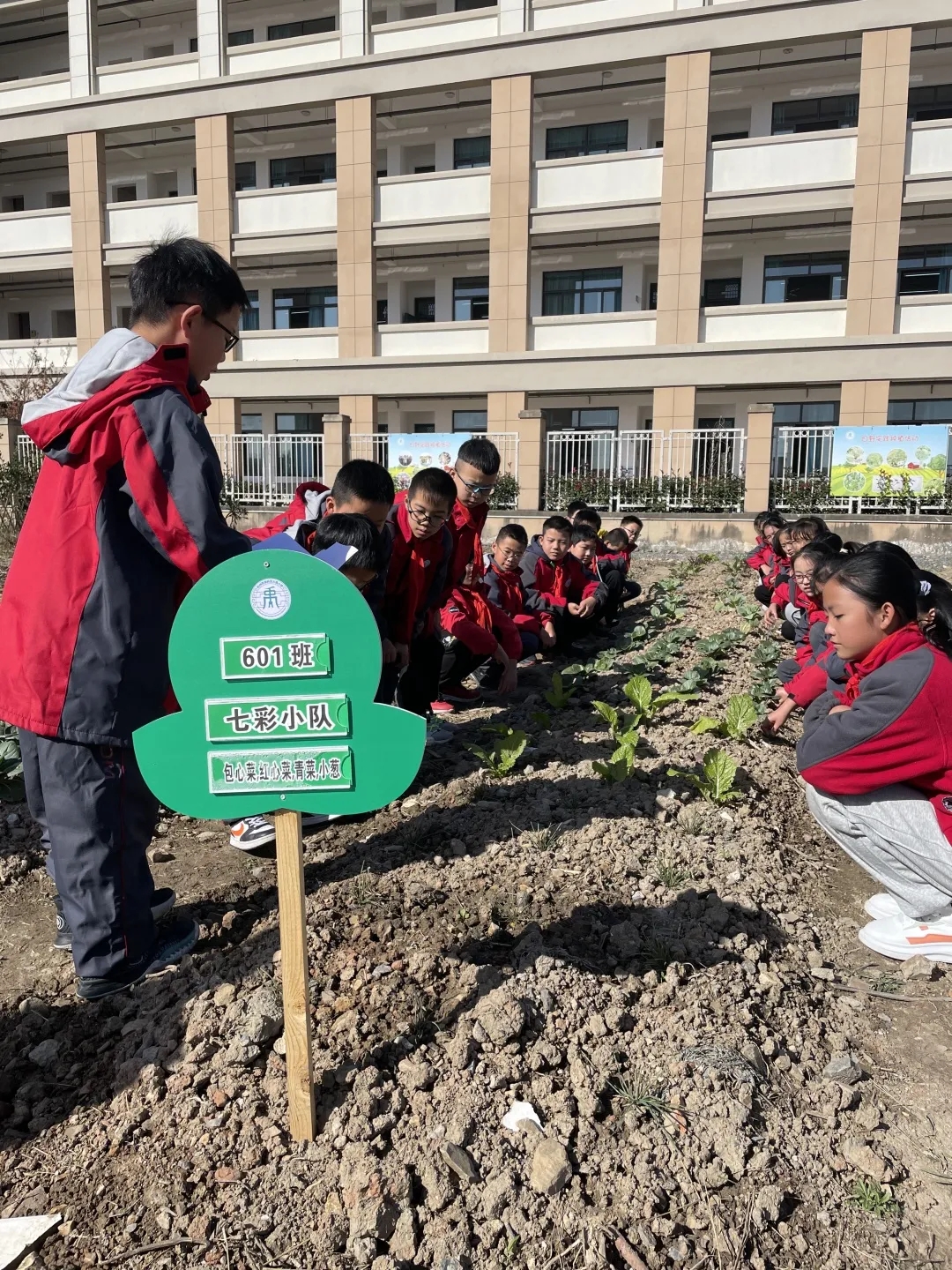 大禹“双减”周年记｜落实“五好”行动培育“尚美”禹芽儿