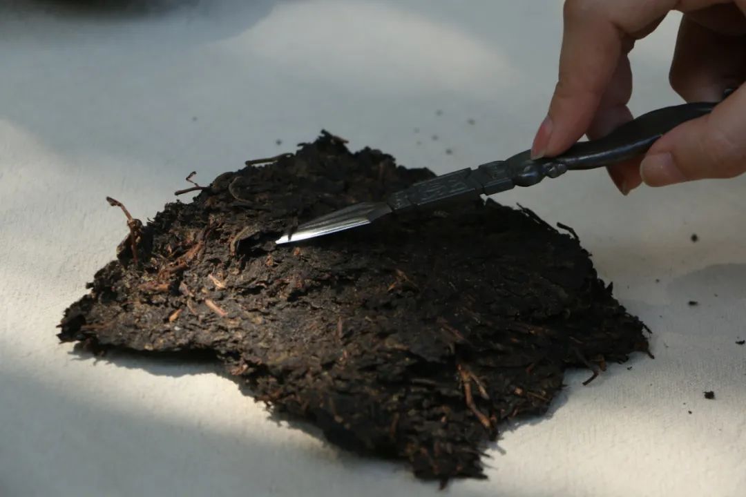 要喝普洱茶，你要先学会怎么撬开它