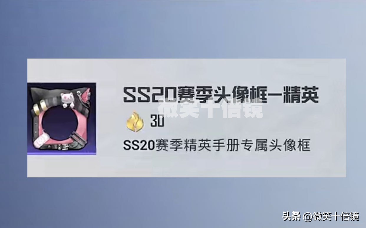 和平精英ss20赛季手册答案,和平精英ss20赛季的赛季手册