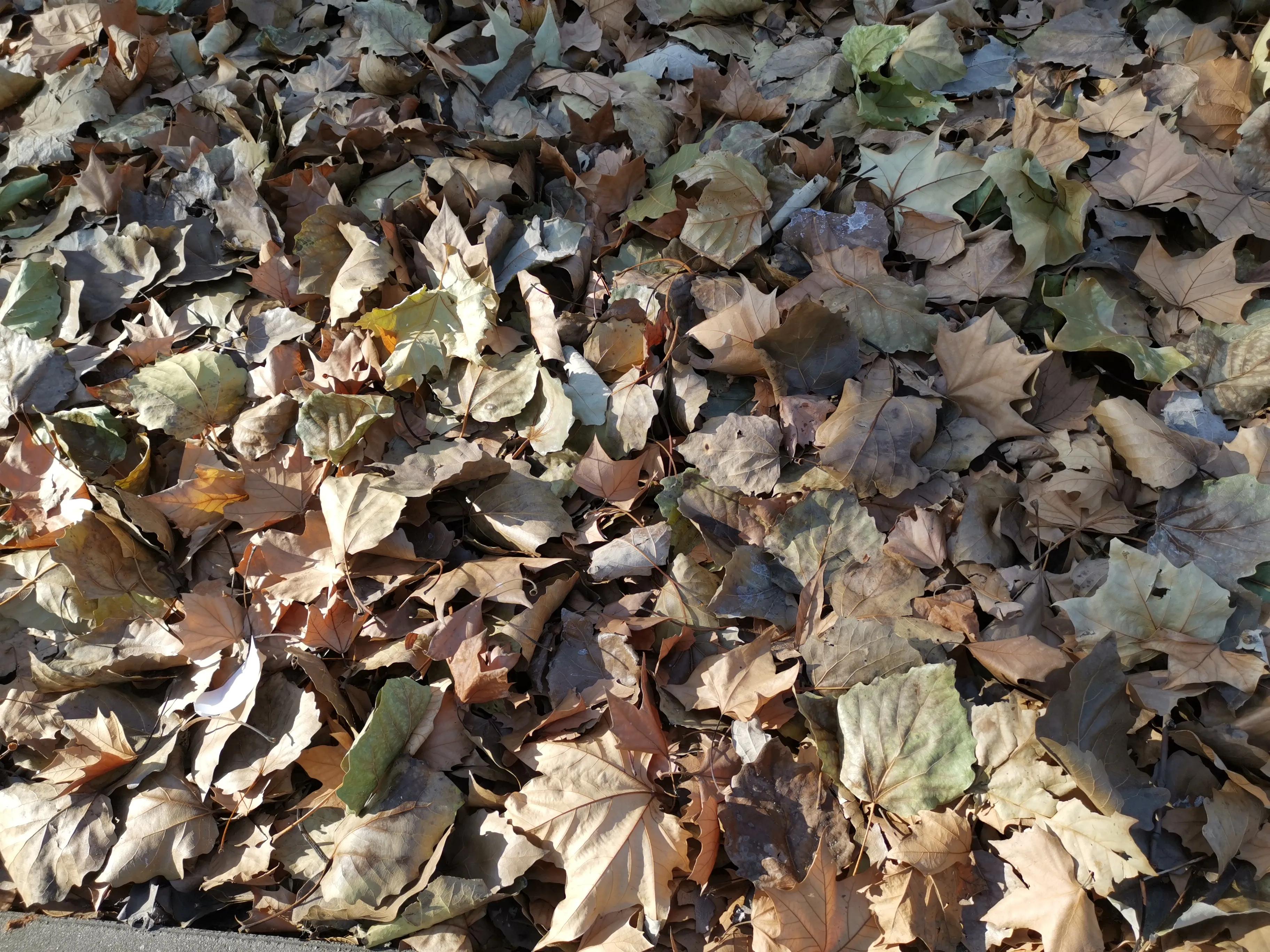 疫情下的天津,疫情下的天津河西