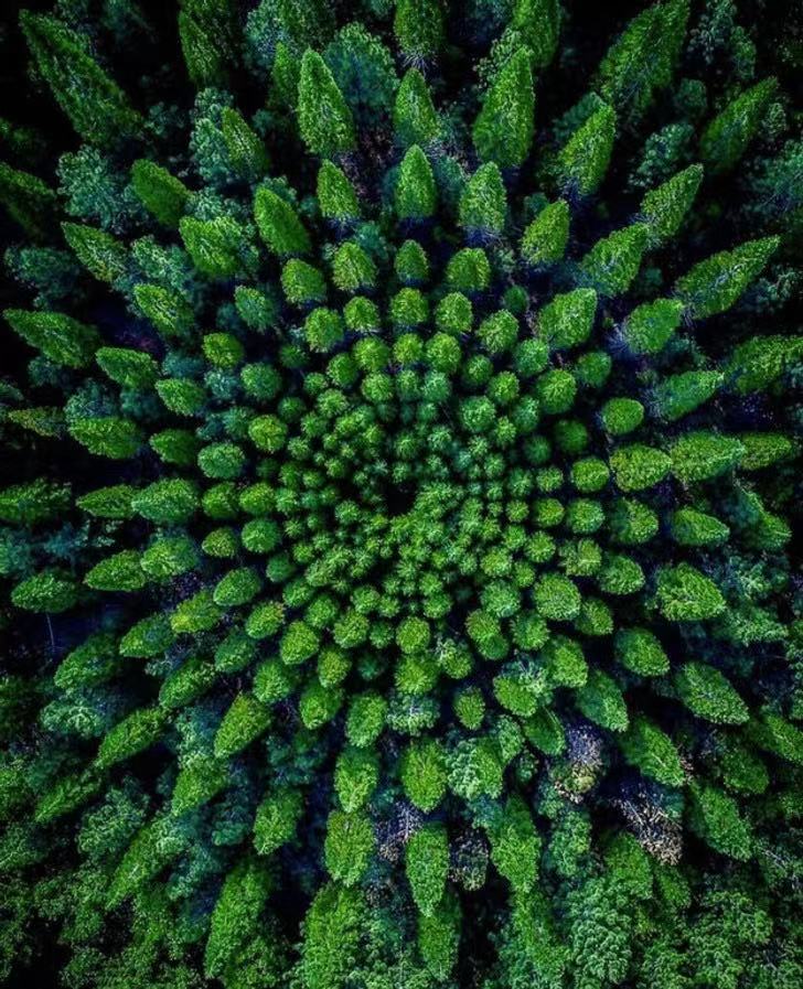 21张罕见照片让人眼界大开,26张令人惊叹的罕见图