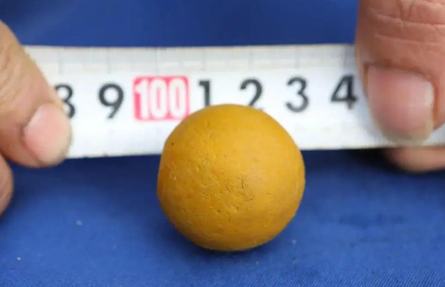 烧烤店宰羊发现羊肚里有5个羊宝，或价值百万！羊宝到底是什么？