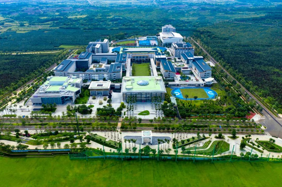 海南近两年的趋势走向,海南新趋势