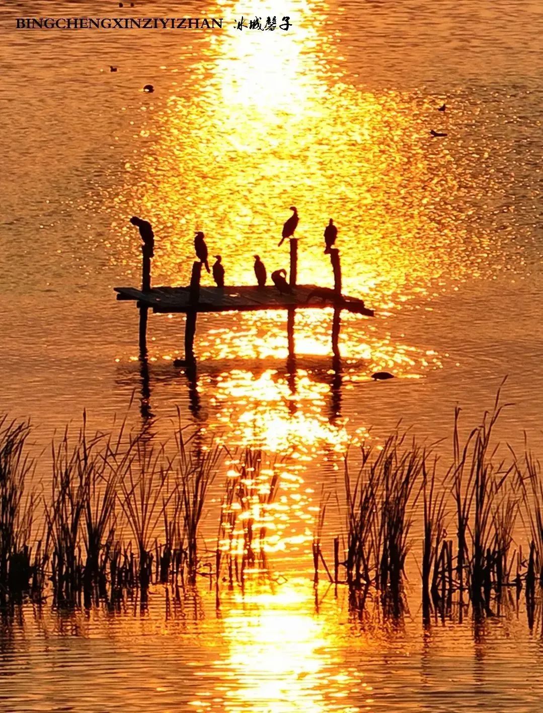 湿地可以开发什么旅游项目,黑龙江旅游必去十大湿地排名