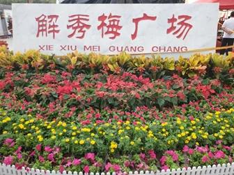 鎶楃編鎻存湞涓殑涓浗濂冲叺鐪熷疄褰卞儚,鎶楃編鎻存湞鎴樺焦涓湁澶氬皯濂冲叺