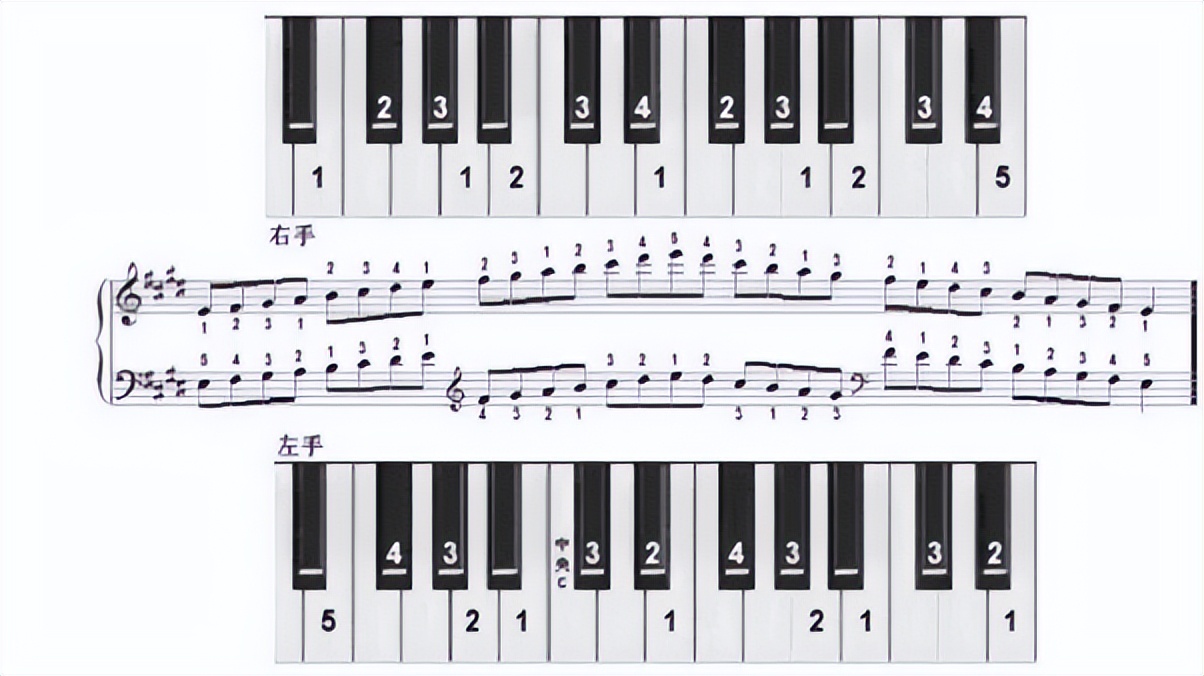 怎么学电子琴61键,怎么学电子琴成人班