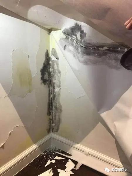 大华业主维权事件,大华维权事件