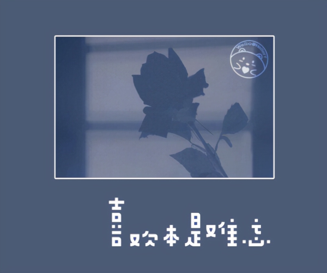 一秒吸引人的朋友圈文案,空间朋友圈文案