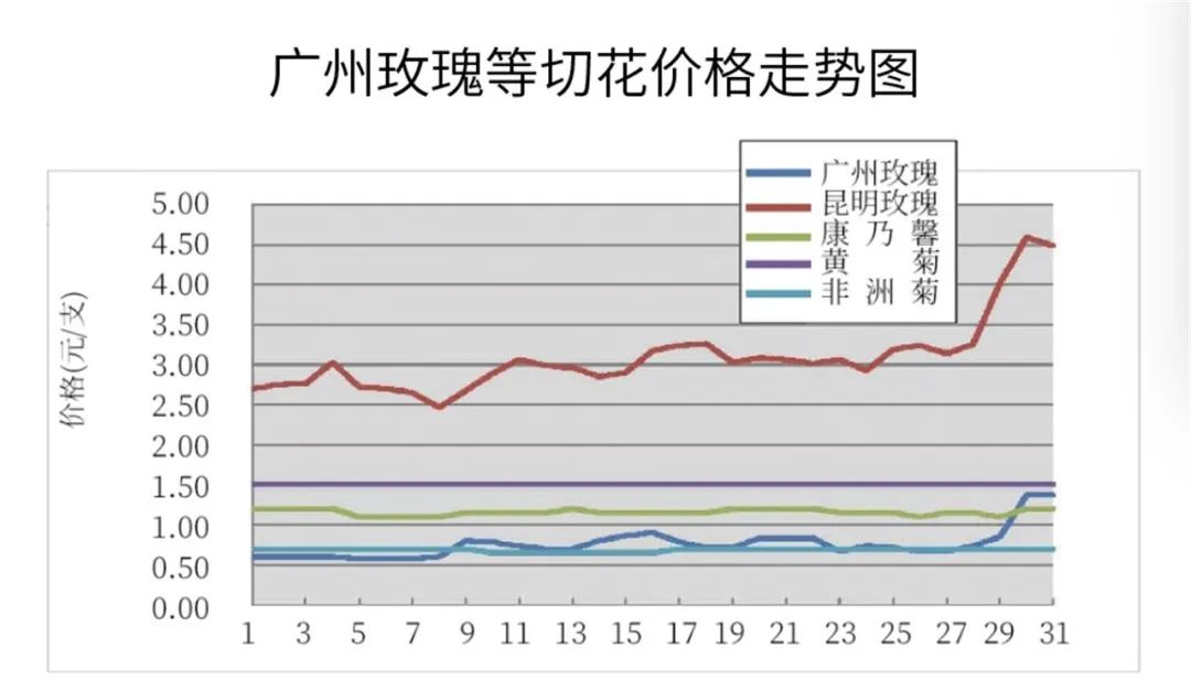 KIFA广州沈阳成都郑州昆明台北日本7月切花|行情