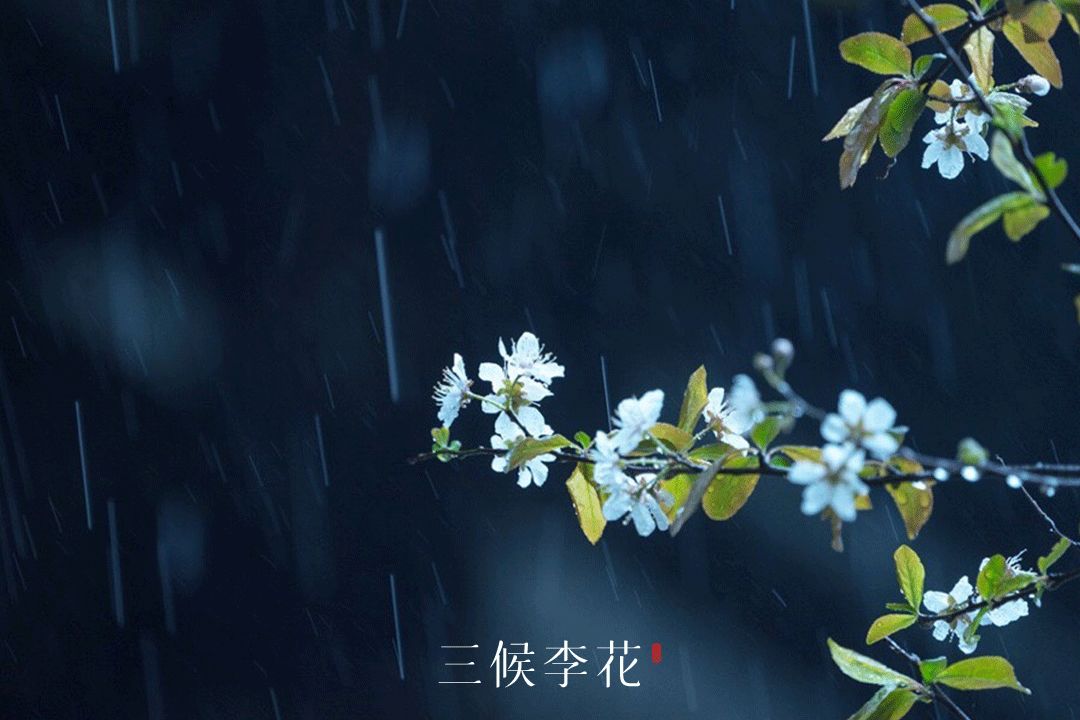 雨水哲理,雨水的好句