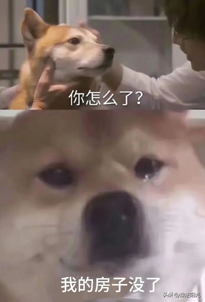 失信的父母、高考的我和消失的家……成为失信被执行人，会对子女和个人造成哪些影响？